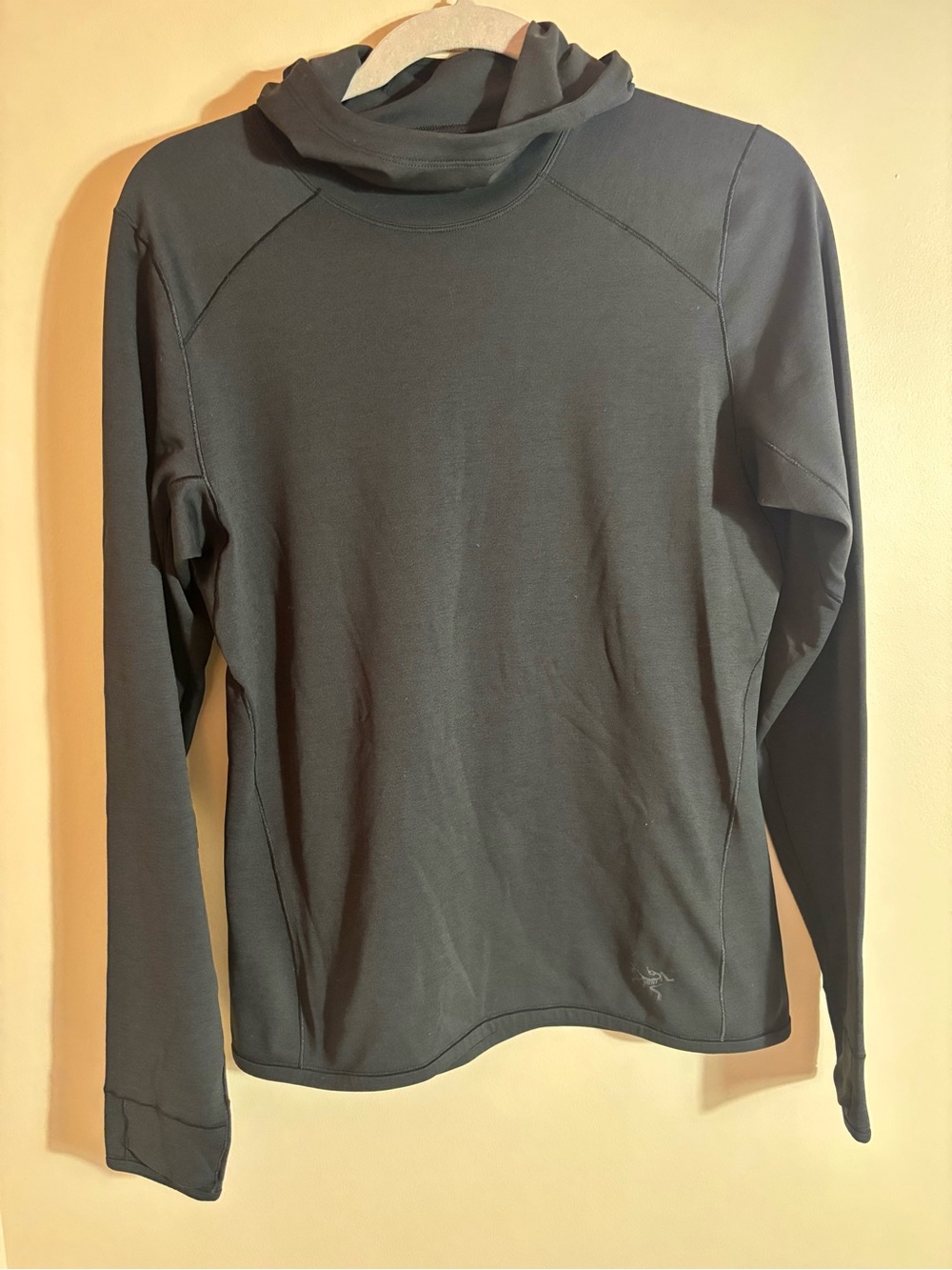 Arc'teryx Rho Long-Sleeve Hoodie Base Layer Thermal Top - Black size Medium